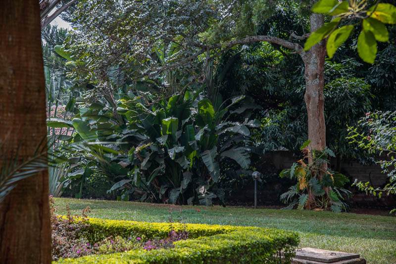5-Bedroom Separate House — Runda — photo 34