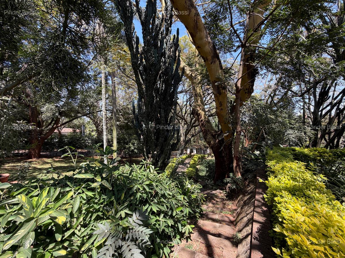 5-Bedroom Separate House — Lavington — photo 16