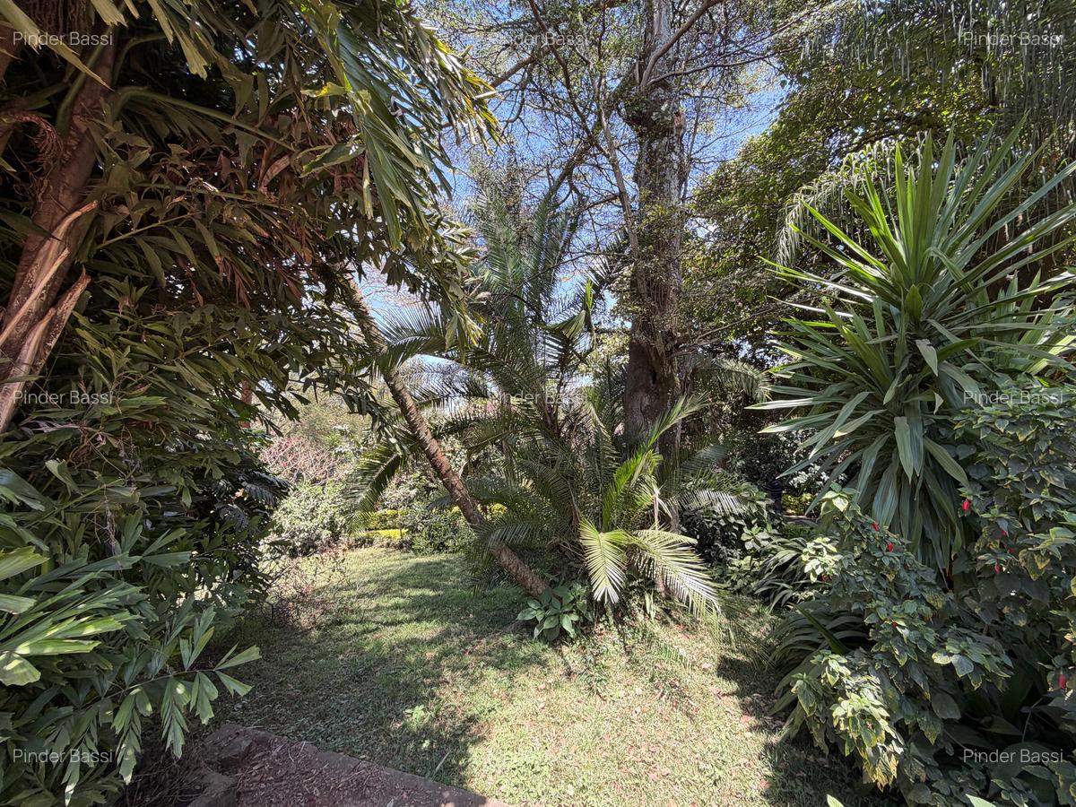 5-Bedroom Separate House — Lavington — photo 17