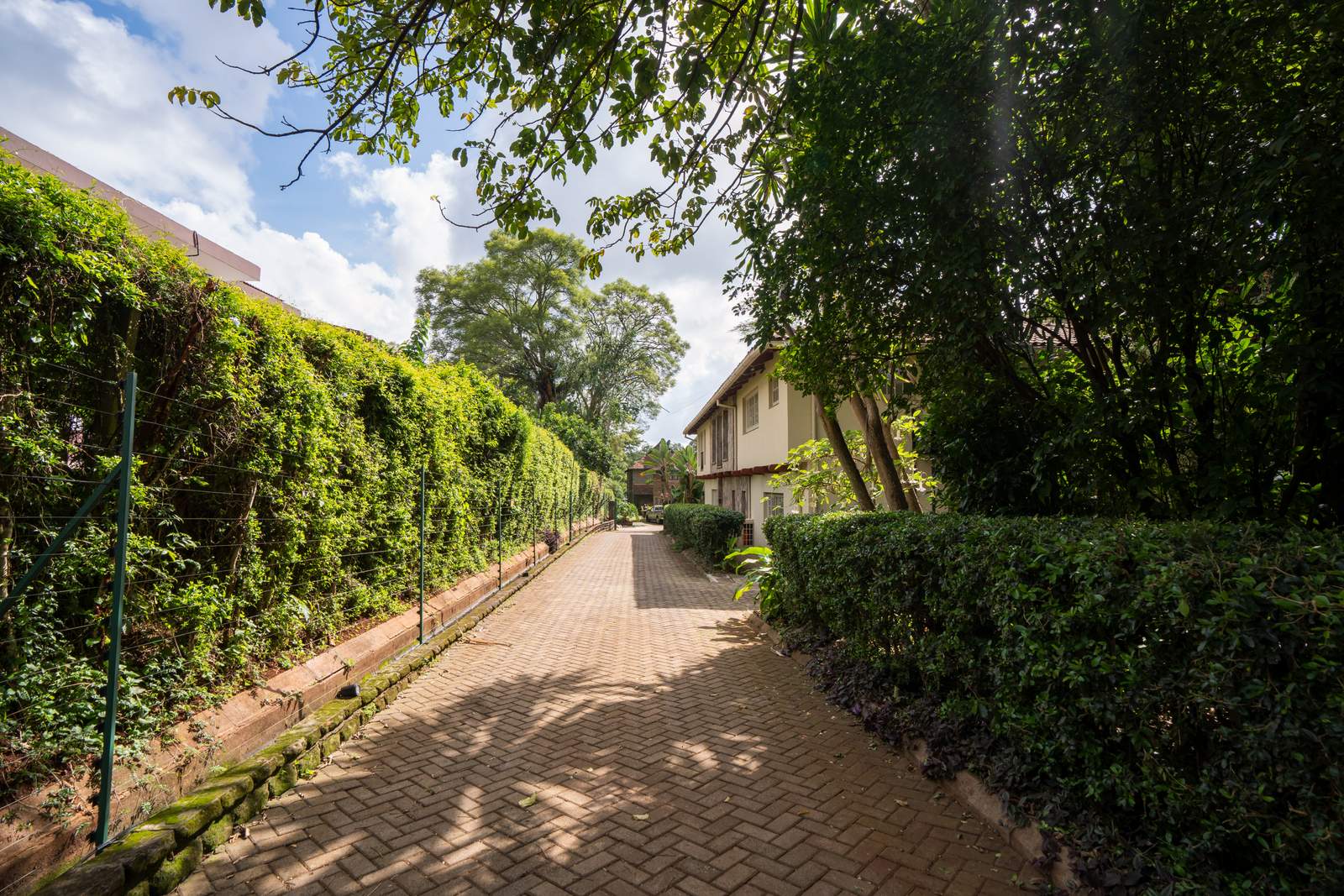 Separate House — Muthaiga — photo 33