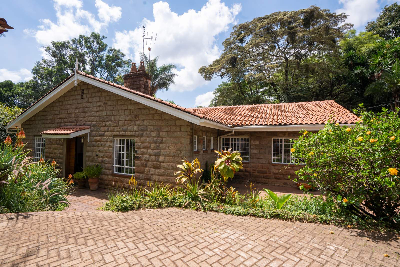 Separate House — Muthaiga — photo 31
